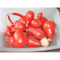 Gourds-painted red!