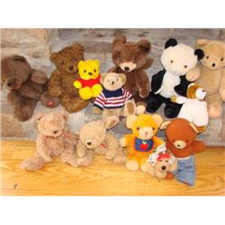 13 Teddy Bears