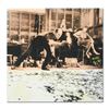 Image 1 : Jackson Pollock at Work by "Ringo" Daniel Funes