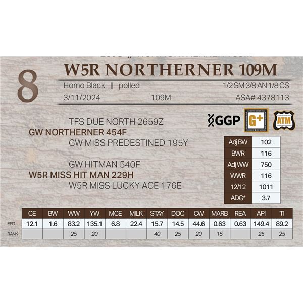 W5R NORTHERNER 109M