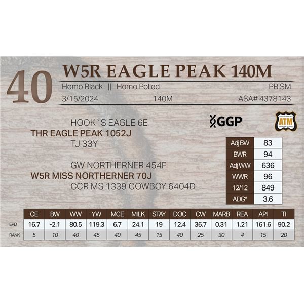 W5R EAGLE PEAK 140M