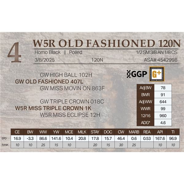 W5R OLD FASHIONED 120N