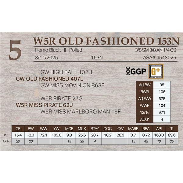 W5R OLD FASHIONED 153N