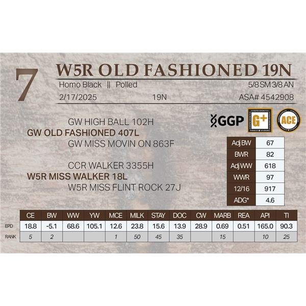 W5R OLD FASHIONED 19N