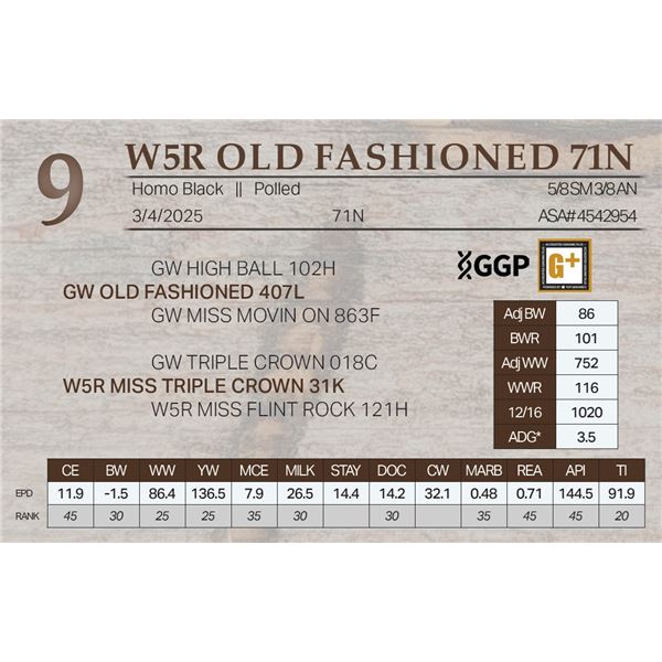 W5R OLD FASHIONED 71N