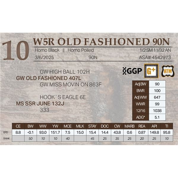 W5R OLD FASHIONED 90N