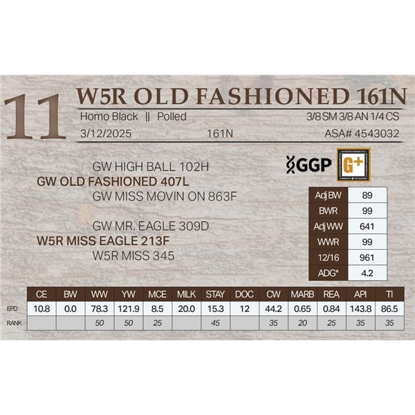 W5R OLD FASHIONED 161N