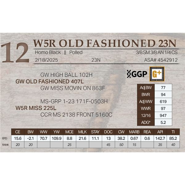 W5R OLD FASHIONED 23N