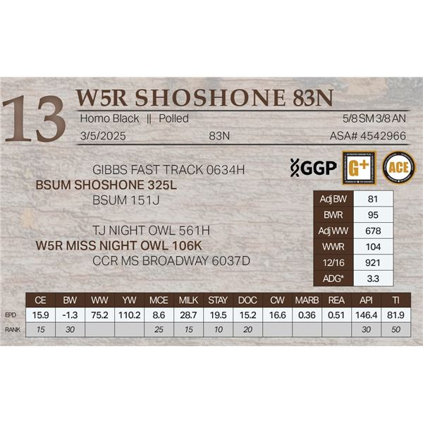 W5R SHOSHONE 83N