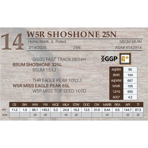 W5R SHOSHONE 25N