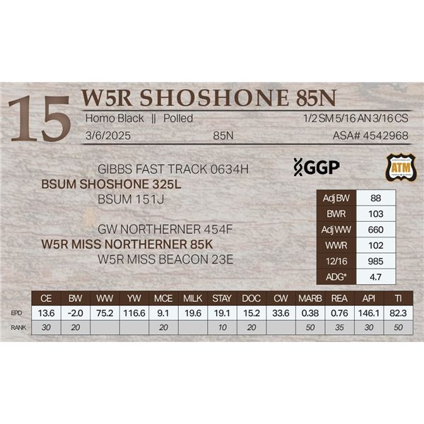 W5R SHOSHONE 85N
