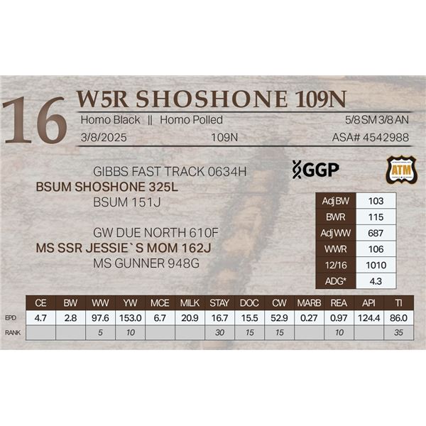 W5R SHOSHONE 109N