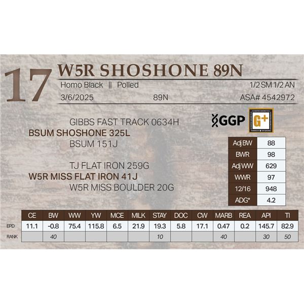 W5R SHOSHONE 89N