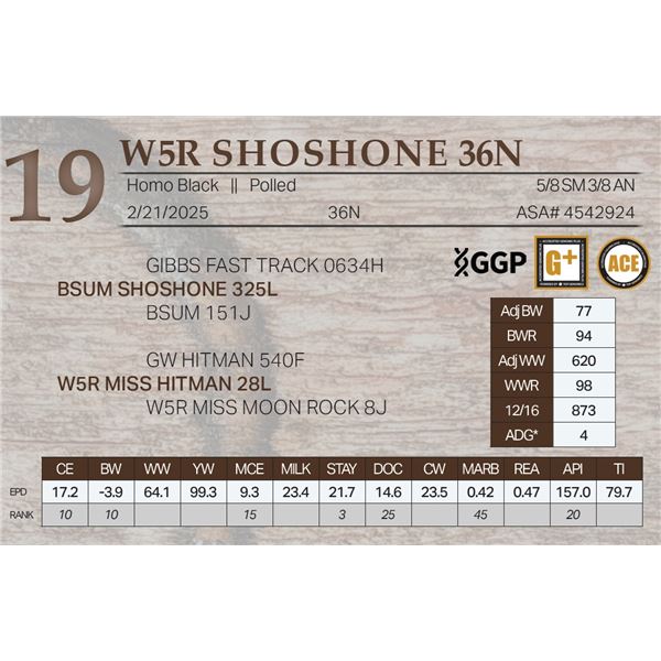 W5R SHOSHONE 36N