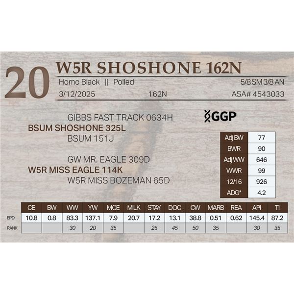 W5R SHOSHONE 162N