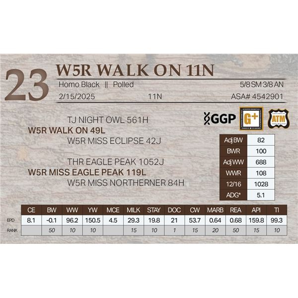W5R WALK ON 11N