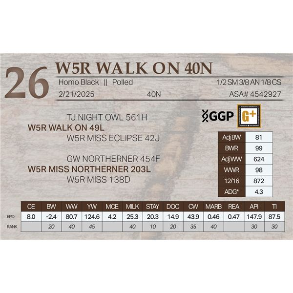 W5R WALK ON 40N