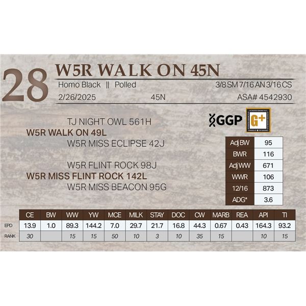 W5R WALK ON 45N