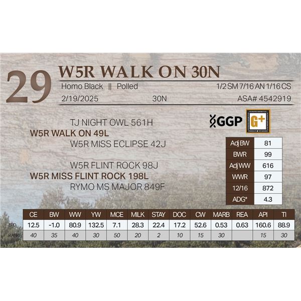 W5R WALK ON 30N