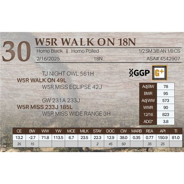 W5R WALK ON 18N