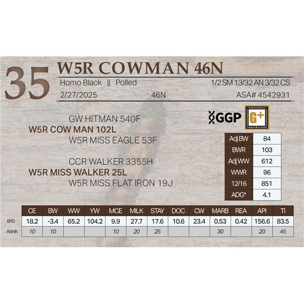 W5R COWMAN 46N