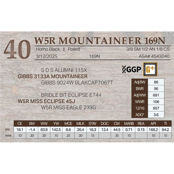 W5R MOUNTAINEER 169N
