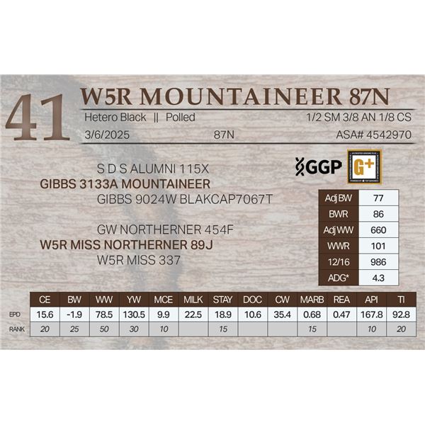 W5R MOUNTAINEER 87N