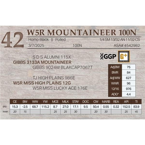 W5R MOUNTAINEER 100N