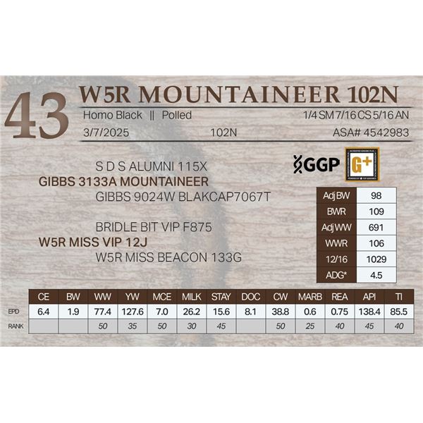 W5R MOUNTAINEER 102N