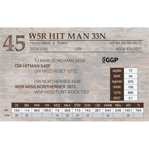 W5R HIT MAN 33N