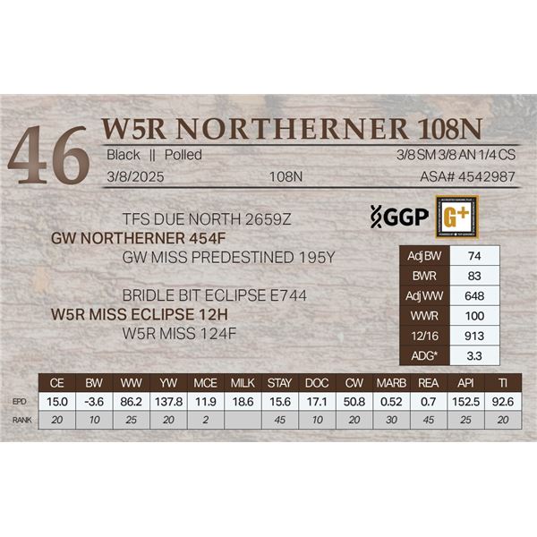 W5R NORTHERNER 108N