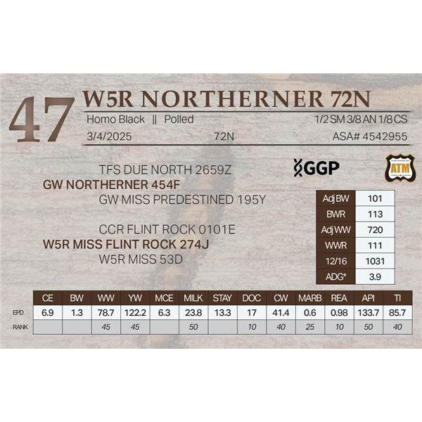 W5R NORTHERNER 72N