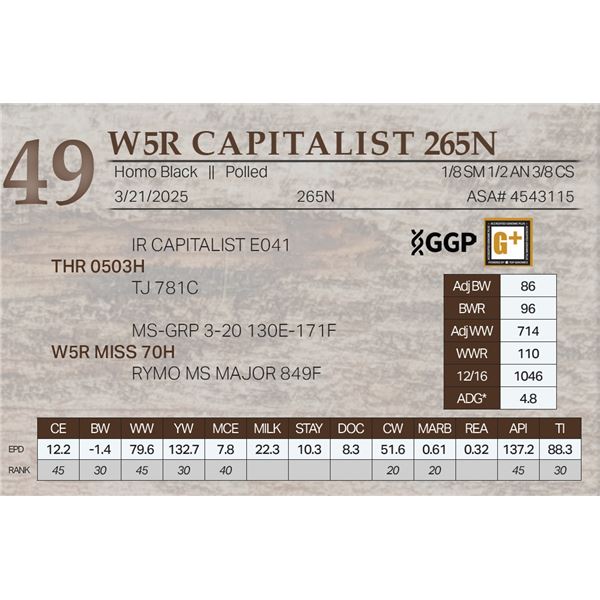 W5R CAPITALIST 265N