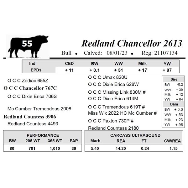 Redland Chancellor 2613