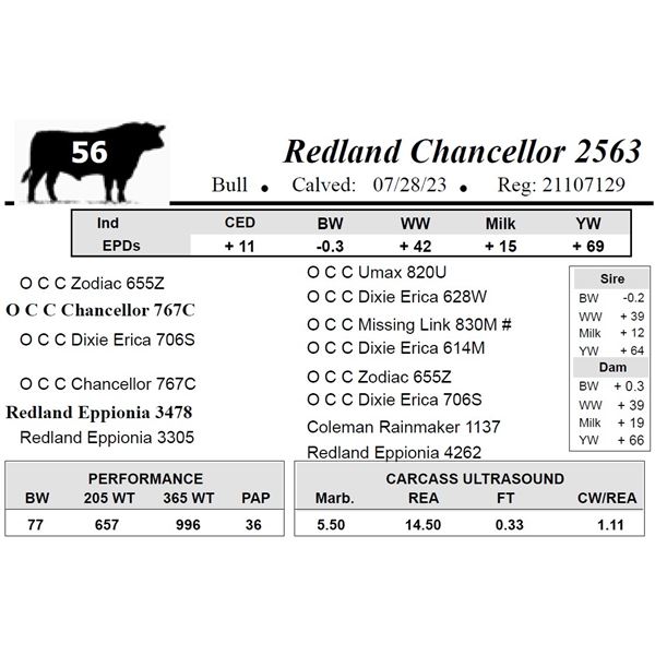 Redland Chancellor 2563