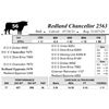 Image 1 : Redland Chancellor 2563