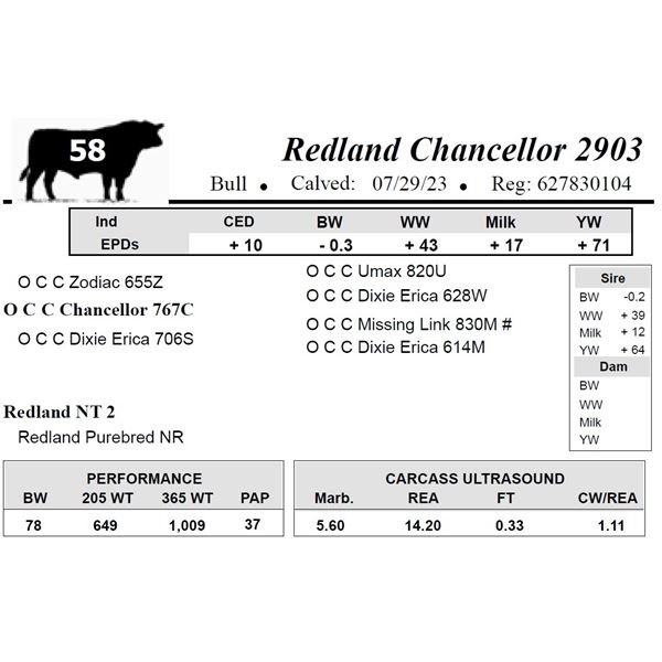 Redland Chancellor 2903