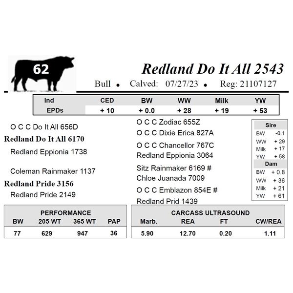 Redland Do It All 2543