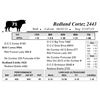 Image 1 : Redland Cortez 2443