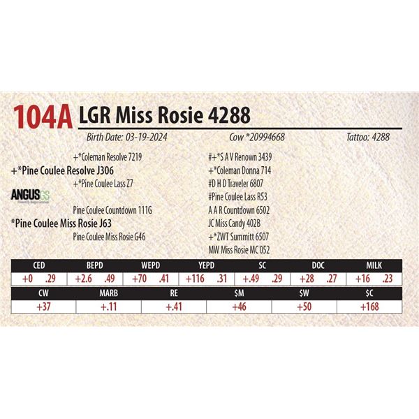 LGR Miss Rosie 4288