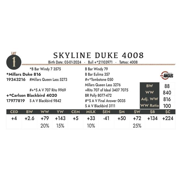 Skyline Duke 4008