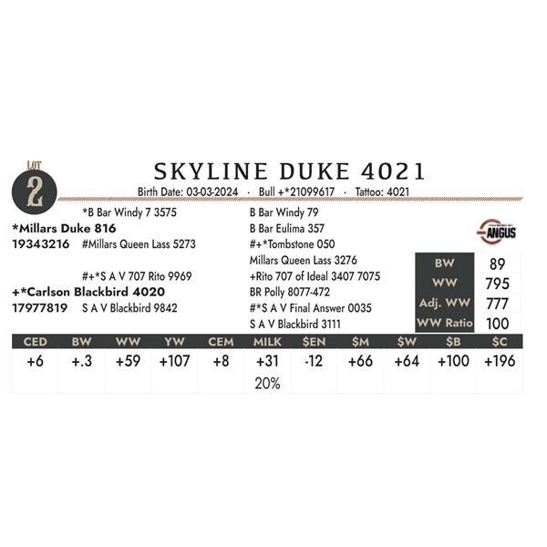 Skyline Duke 4021