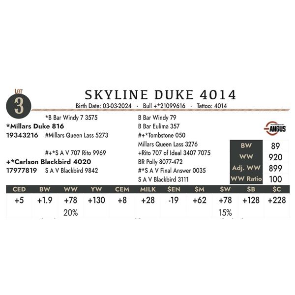 Skyline Duke 4014