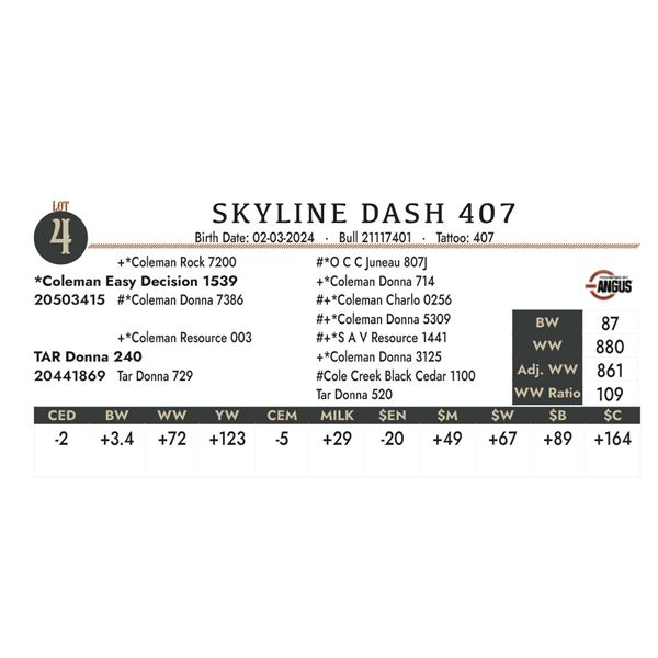 Skyline Dash 407