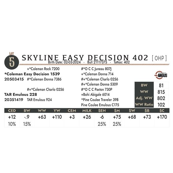 Skyline Easy Decision 402