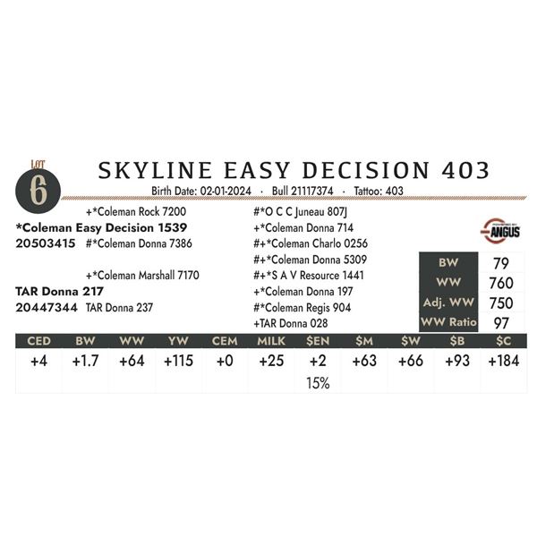 Skyline Easy Decision 403