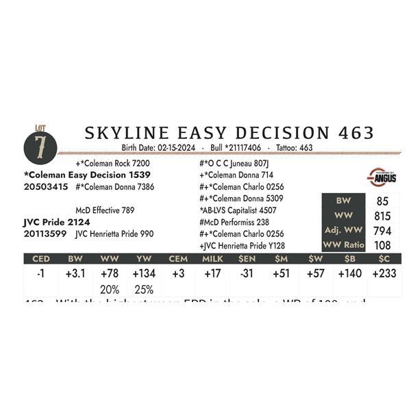 Skyline Easy Decision 463