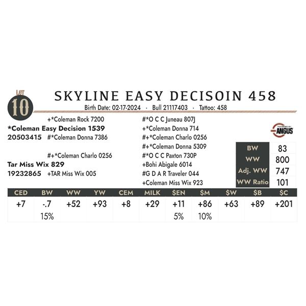 Skyline Easy Decisoin 458