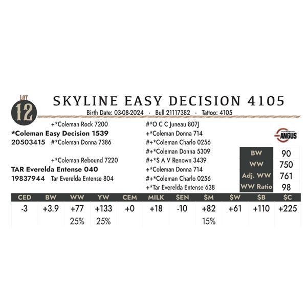Skyline Easy Decision 4105