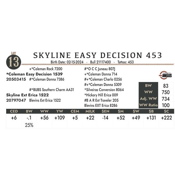 Skyline Easy Decision 453